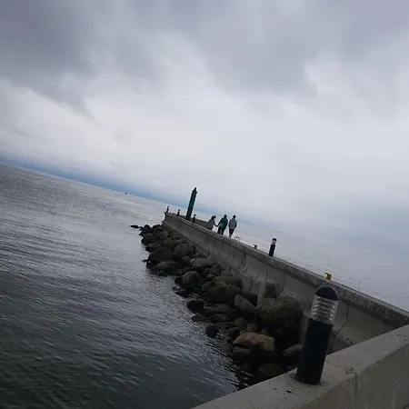 Maki Na Wylacznosc *